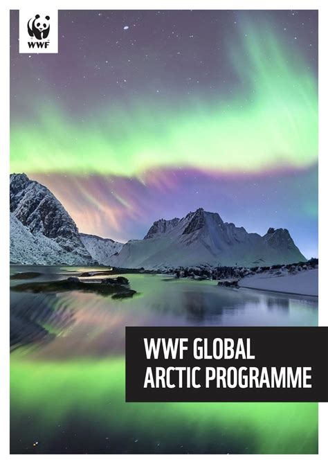 wwf arctic programme.